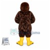 American Robin Mascot Costume