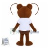 Adult Size Ant Mascot Cartoon Costume 