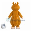 Dale the Chipmunk Mascot Cartoon Costume 