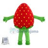Adult Cartoon Strawberry Man Mascot Costume 