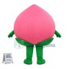 Deluxe Cartoon Pink Juicy Peach Mascot Costume	