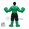 Super Hero Hulk Mascot Costume	