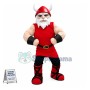 Red Viking Mascot Costume 