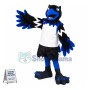 Black & Blue Phoenix High School Mascot Costume 