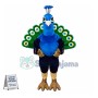 Peacock Lightweight Mascot Costume