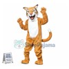 Willie the Wildcat High School Mascot Costume 