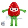 Adult Cartoon Strawberry Man Mascot Costume 