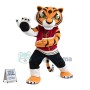 Kung Fu Tigress Mascot Costume	